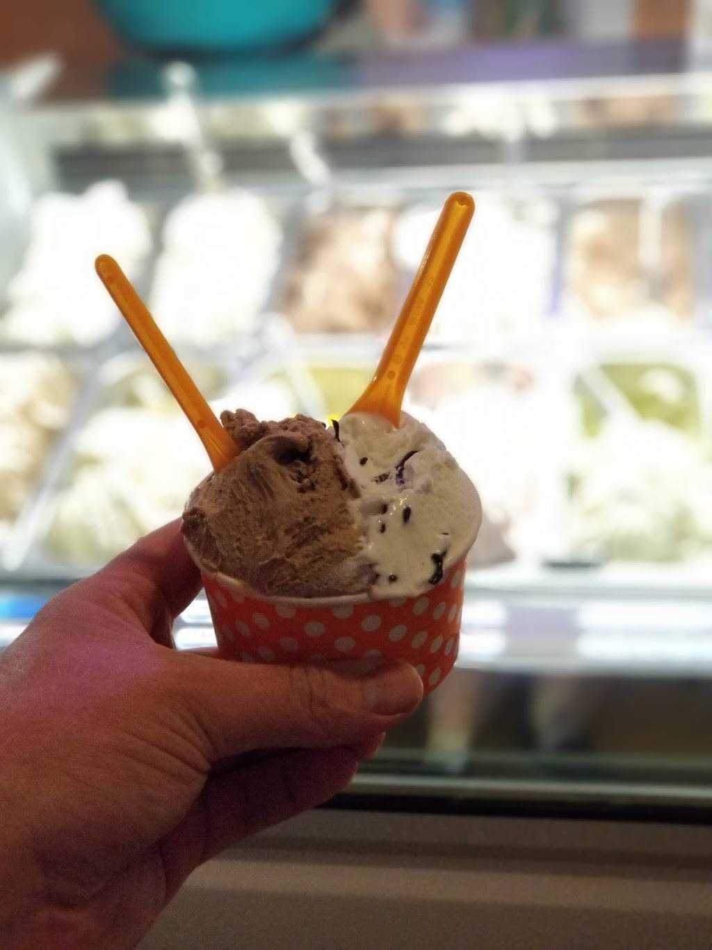 Caffè Gelato Bertini | cafe | 46 South St, South Yarmouth, MA 02664, USA | 5087780244 OR +1 508-778-0244