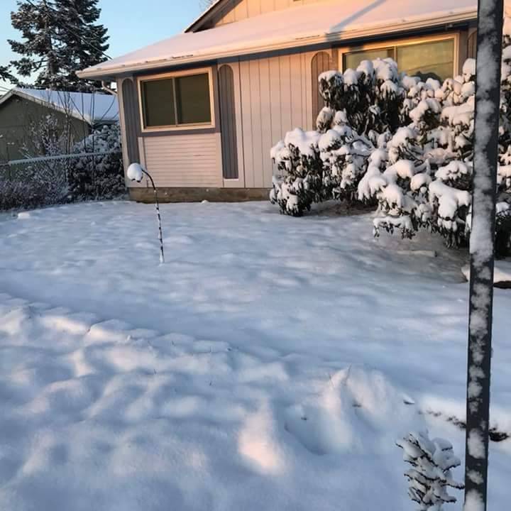 Tio Juans | restaurant | 602 Main St, Platteville, CO 80651, USA | 9707850808 OR +1 970-785-0808