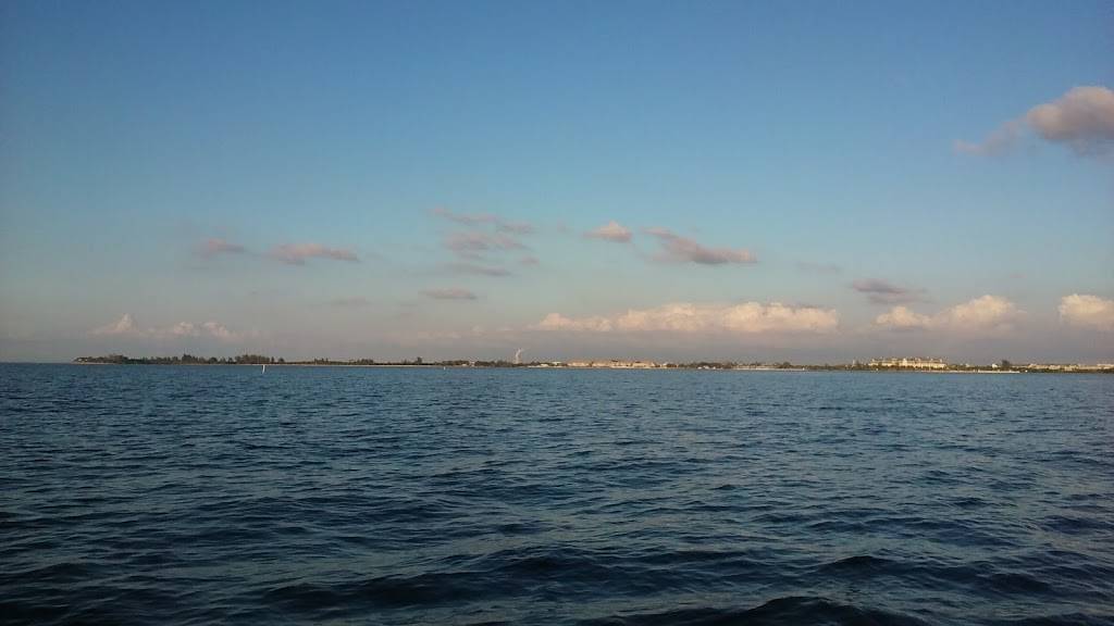 Mighty Joes Foodz | cafe | FL-45, Apollo Beach, FL 33572, USA | 8134763524 OR +1 813-476-3524