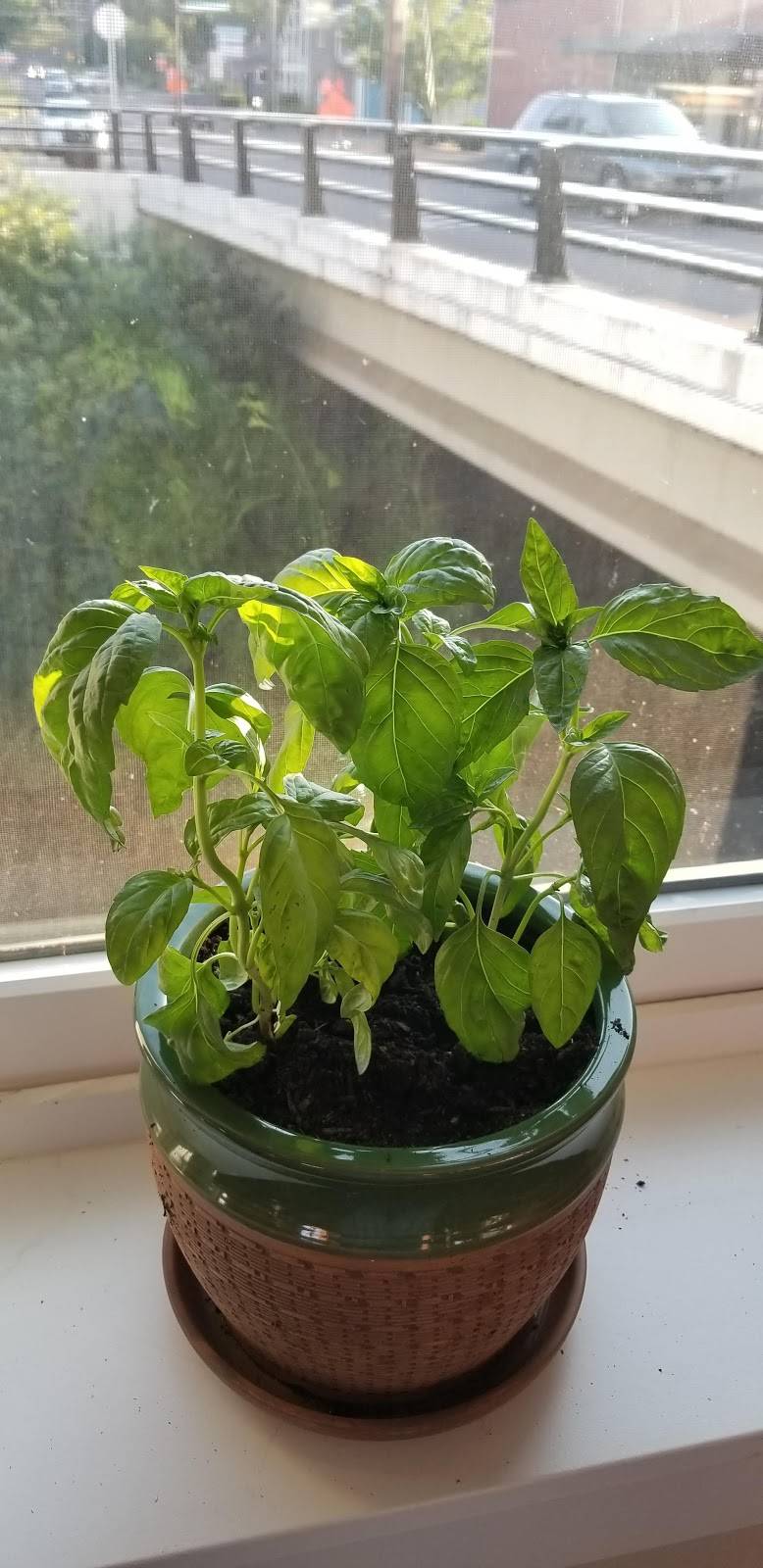 Peoples Taphouse | meal takeaway | 100 S Water St, Silverton, OR 97381, USA | 5038744613 OR +1 503-874-4613