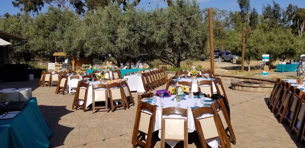 19 Sports Bar & Grill | restaurant | 32120 San Juan Creek Rd, San Juan Capistrano, CA 92675, USA | 9492401919 OR +1 949-240-1919