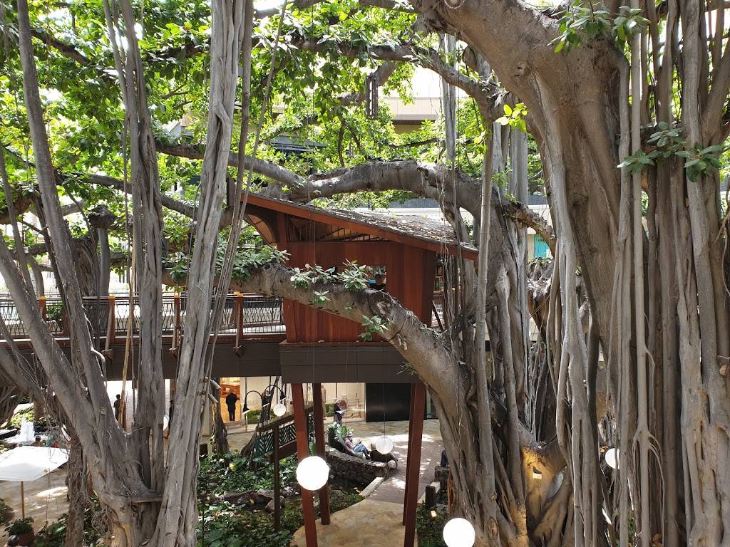 Shorefyre - International Marketplace | restaurant | International Marketplace, 2330 Kalakaua Ave Suite 396, Honolulu, HI 96815, USA | 8086722097 OR +1 808-672-2097