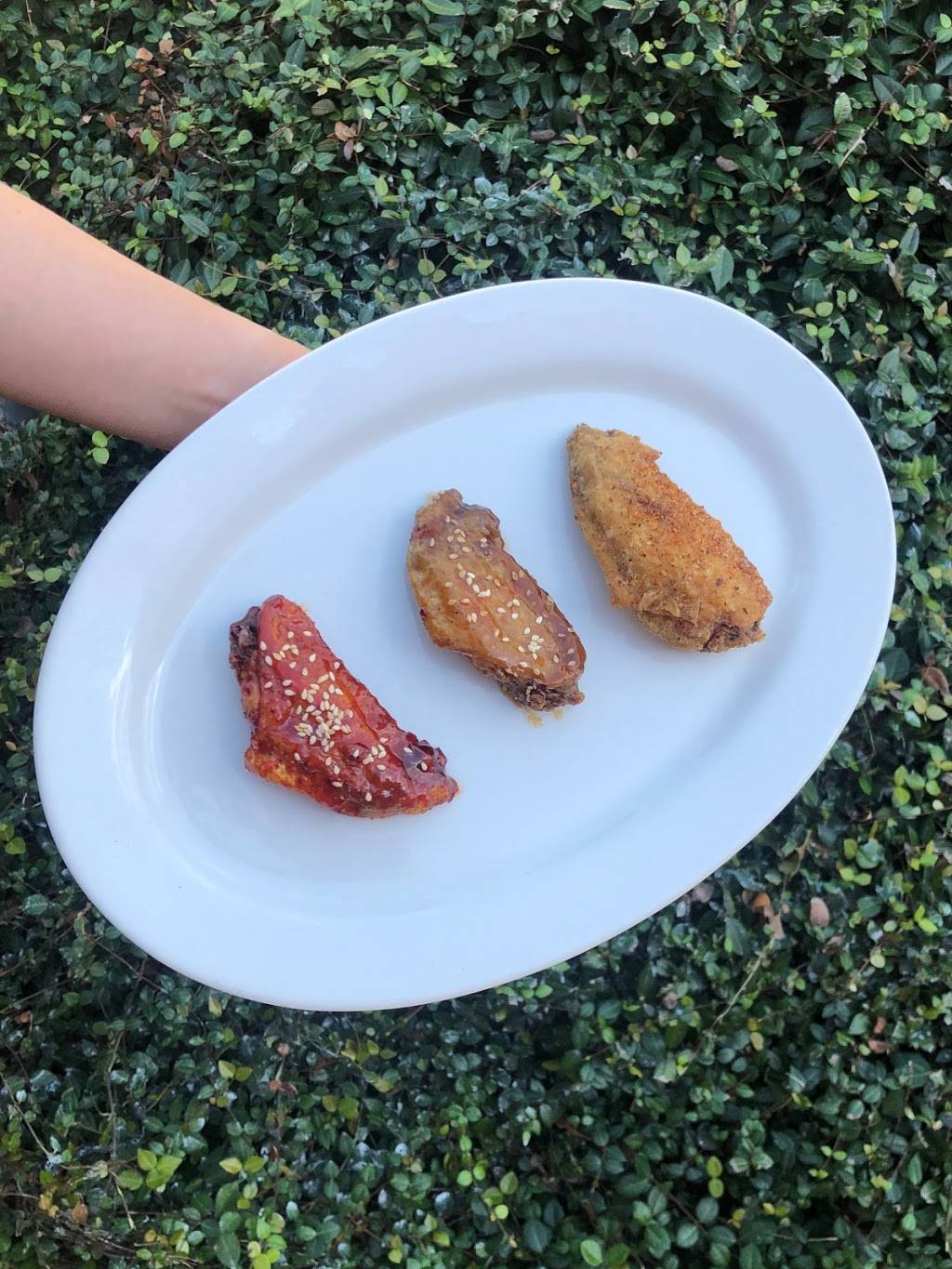 The Flying Dumpling | restaurant | 4835 Calhoun Rd E, Houston, TX 77004, USA | 3462265309 OR +1 346-226-5309