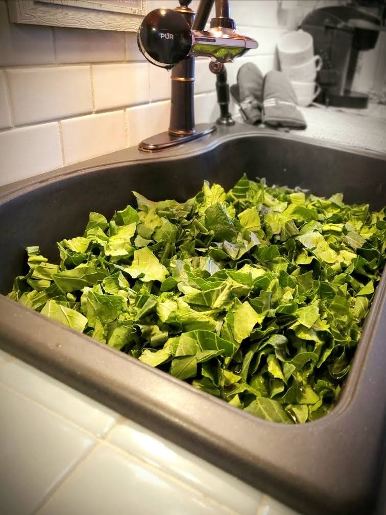 MISO HONGRY | restaurant | 441 E Chester St, Jackson, TN 38301, USA | 7316186565 OR +1 731-618-6565