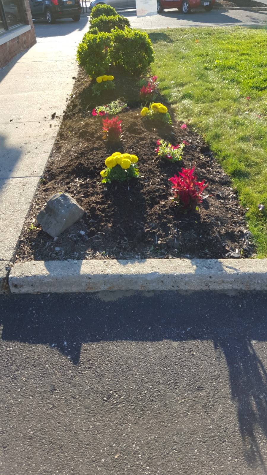 Wendys | restaurant | 625 W Montauk Hwy, West Babylon, NY 11704, USA | 6314226163 OR +1 631-422-6163