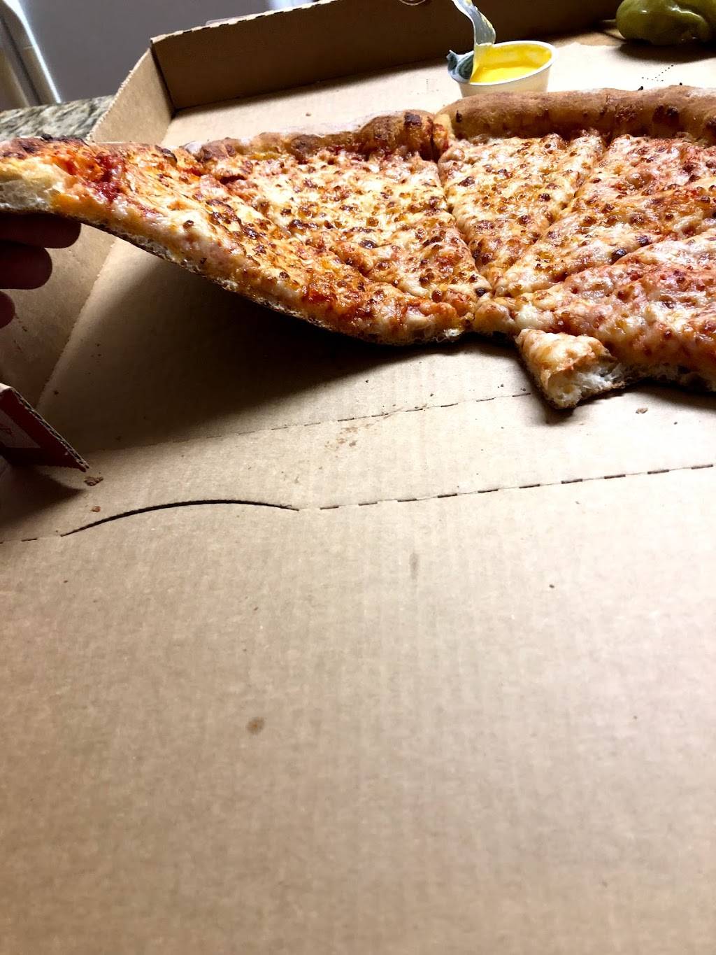 Papa Johns Pizza | restaurant | 6701 Bird Rd, Miami, FL 33155, USA | 3056698800 OR +1 305-669-8800