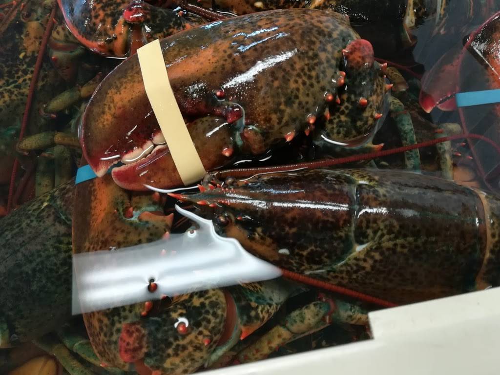 Poissonnerie S B L Ltée | restaurant | 850 Rue Ardouin, Québec, QC G1C 7M9, Canada | 4186490222 OR +1 418-649-0222