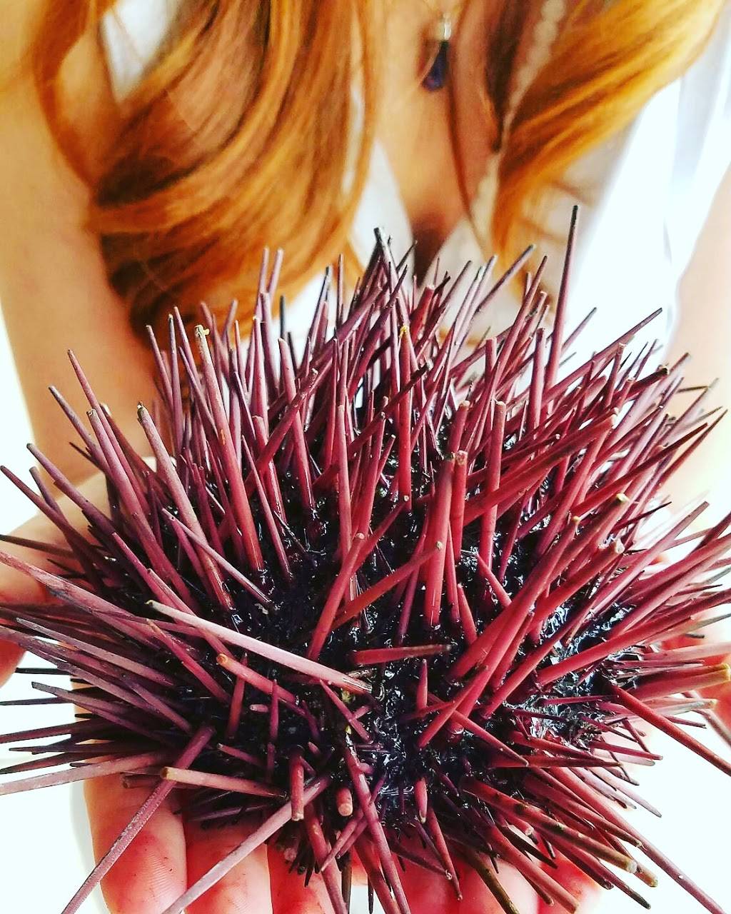 Andiamo Ristorante | restaurant | 325, 2521 Rutland Dr, Austin, TX 78758, USA | 5127193377 OR +1 512-719-3377