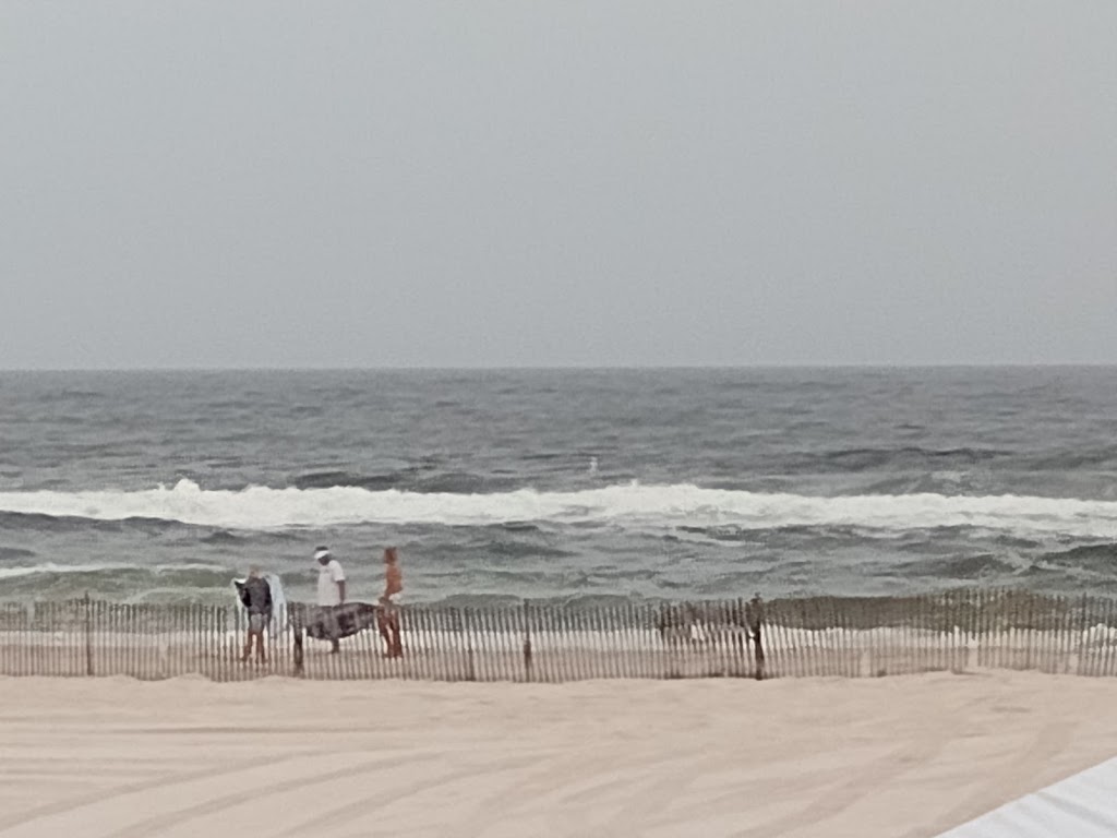 Pink Pony Pub | night club | 137 E Gulf Pl, Gulf Shores, AL 36542, USA | 2519486371 OR +1 251-948-6371