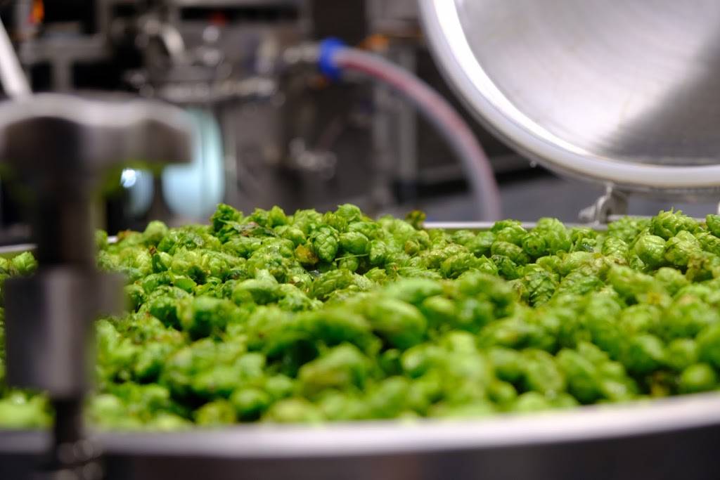 Birdfish Brewing Co. | restaurant | 140 E Park Ave, Columbiana, OH 44408, USA | 3303339385 OR +1 330-333-9385