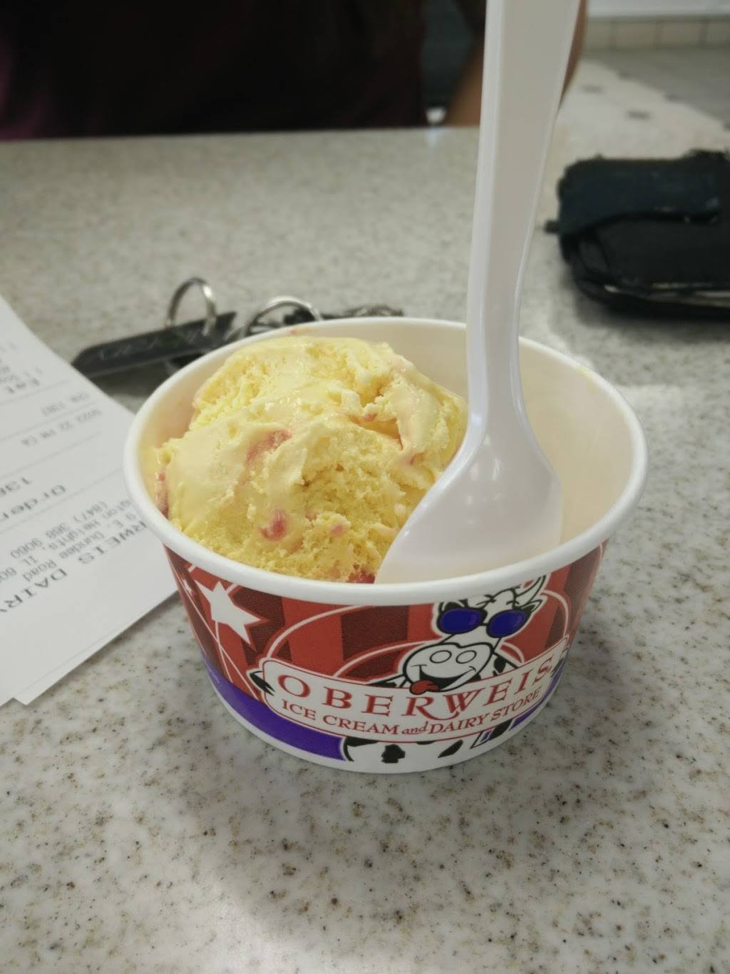 Oberweis Ice Cream and Dairy Store | restaurant | 9 E Dundee Rd, Arlington Heights, IL 60004, USA | 8473689060 OR +1 847-368-9060