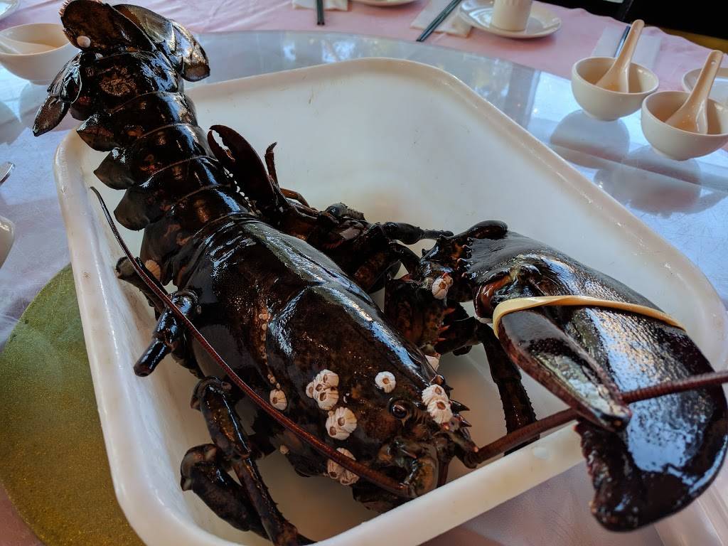 Lobster King Seafood Restaurant | restaurant | 4911 Steeles Ave E #1, Scarborough, ON M1V 4Z3, Canada | 4162938868 OR +1 416-293-8868