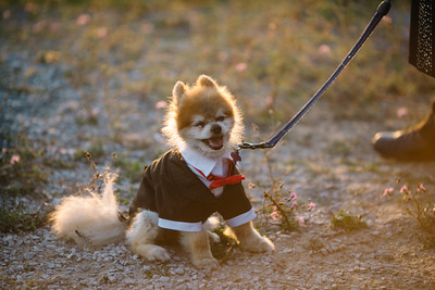 Deli-Queen | restaurant | Tone Rd, Kinross Charter Twp, MI 49752, USA | 9064955191 OR +1 906-495-5191