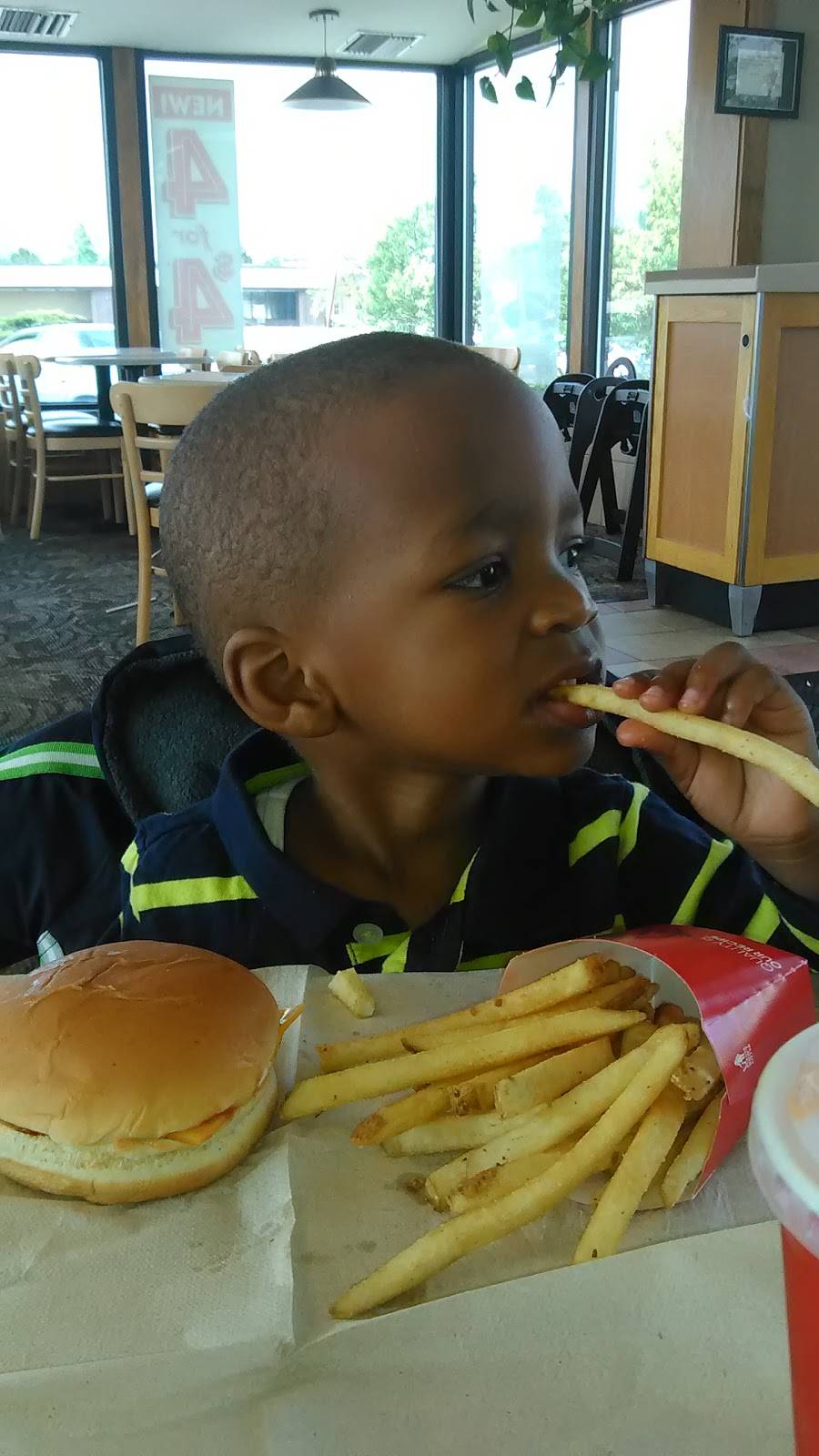 Wendys | restaurant | 8331 W Brown Deer Rd, Milwaukee, WI 53223, USA | 4143550967 OR +1 414-355-0967