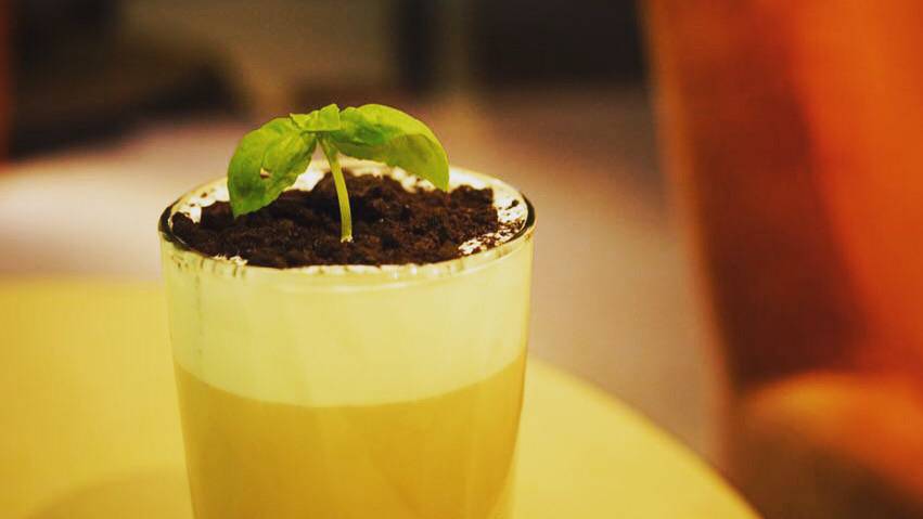 Lazy Bugs Bubble Tea Shop | meal takeaway | unitA14, 210 Glendale Ave, St. Catharines, ON L2T 3Y6, Canada | 9056853168 OR +1 905-685-3168