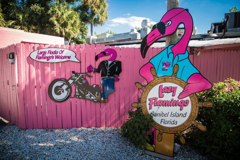 Lazy Flamingo | restaurant | 1036 Periwinkle Way, Sanibel, FL 33957, USA | 2394726939 OR +1 239-472-6939