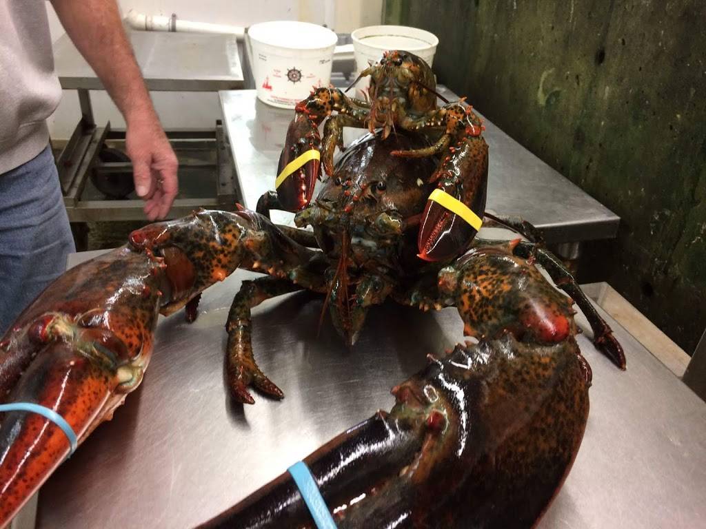 Gurnet Trading Co. | restaurant | 602 Gurnet Rd, Brunswick, ME 04011, USA | 2077297300 OR +1 207-729-7300