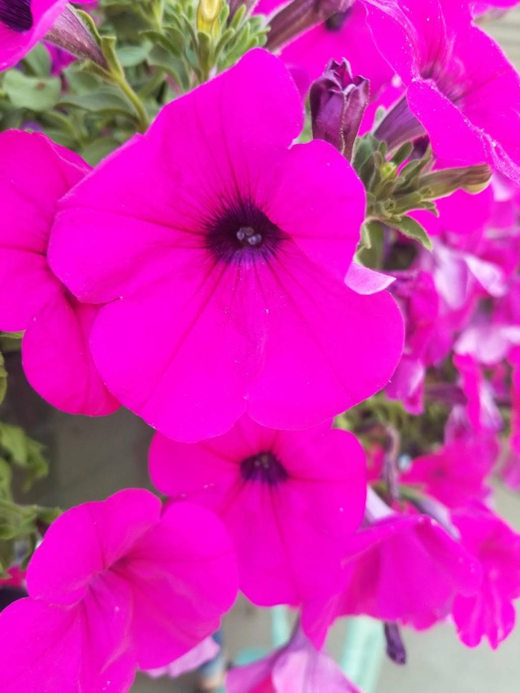 Red Oak Inn | restaurant | Tuscumbia, MO 65082, USA | 5733692770 OR +1 573-369-2770