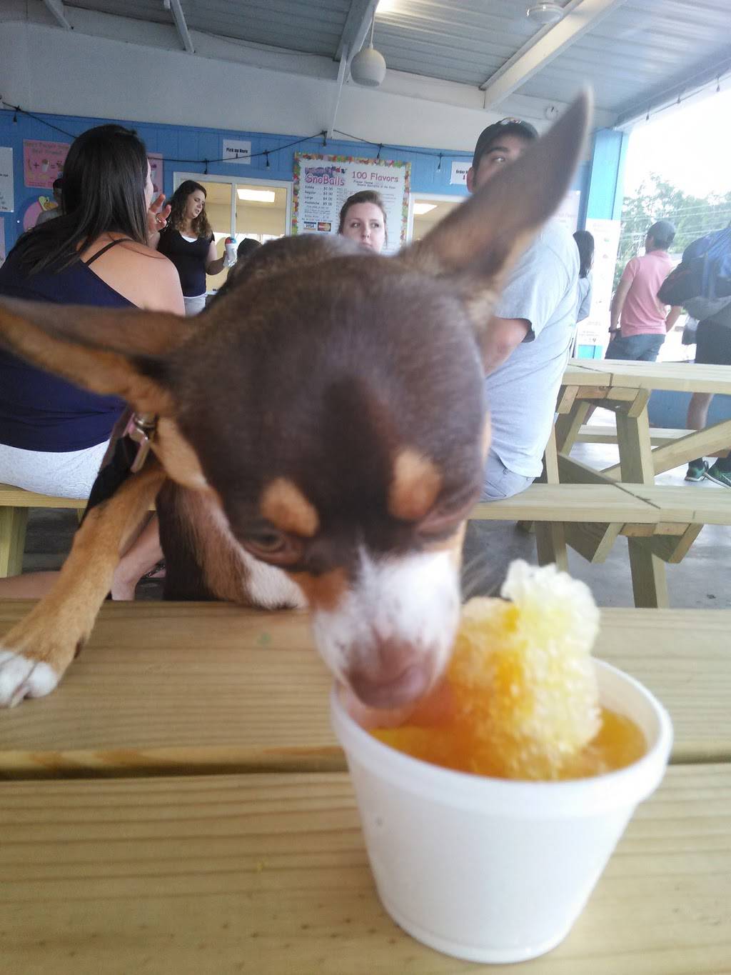 Pelicans SnoBalls of Irmo | restaurant | 6165 St Andrews Rd, Columbia, SC 29212, USA | 8034135369 OR +1 803-413-5369