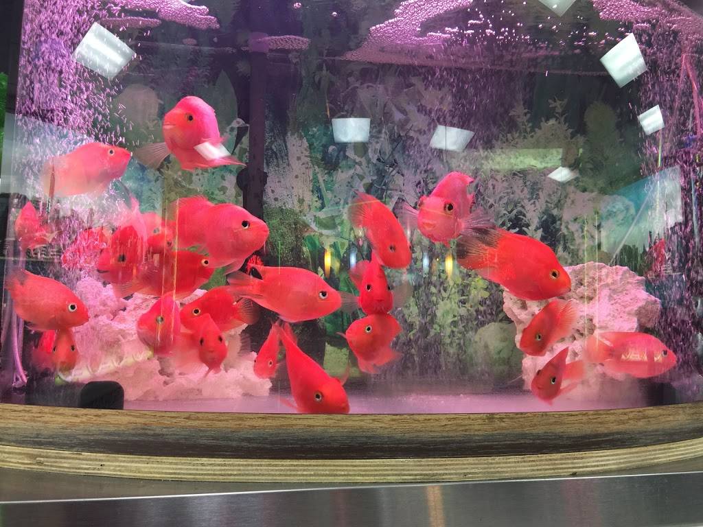 Hing Wong | meal delivery | 7922 5th Ave, Brooklyn, NY 11209, USA | 7187486688 OR +1 718-748-6688