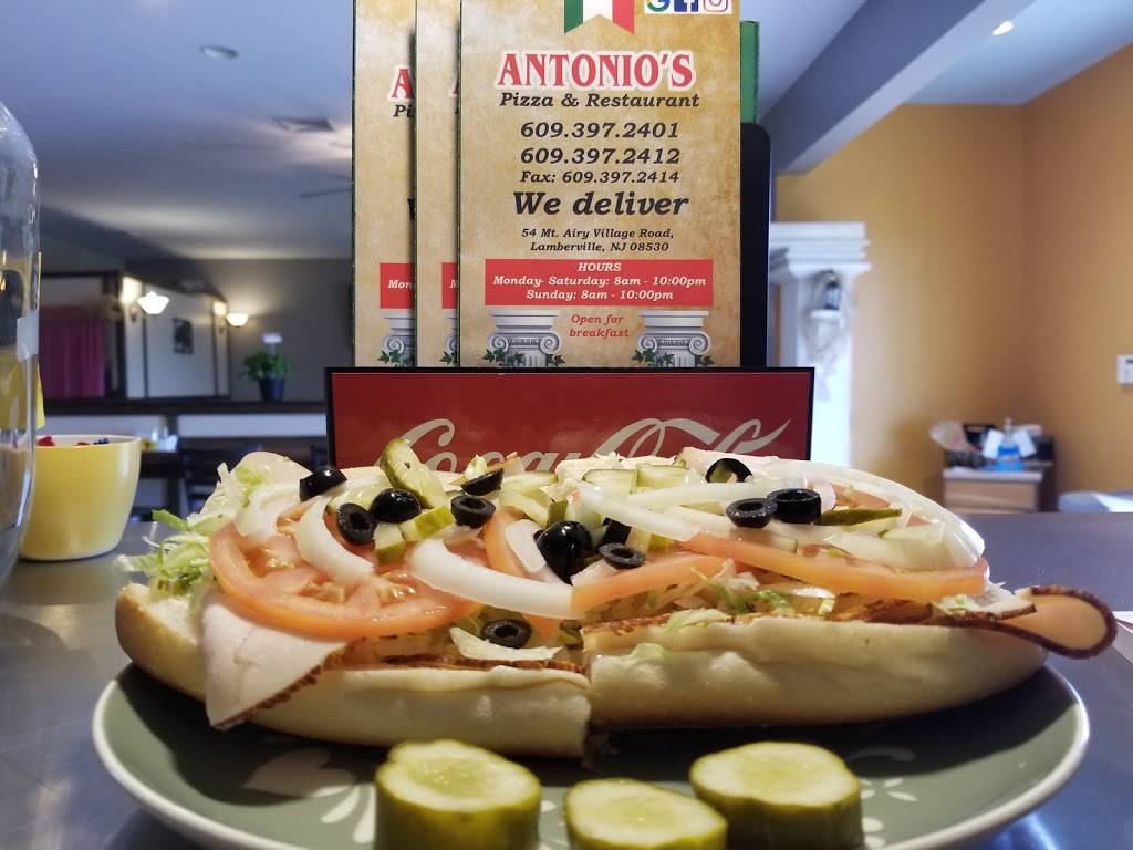 Antonios Pizza & Restaurant | restaurant | 1326 NJ-179, Lambertville, NJ 08530, USA | 6093972401 OR +1 609-397-2401