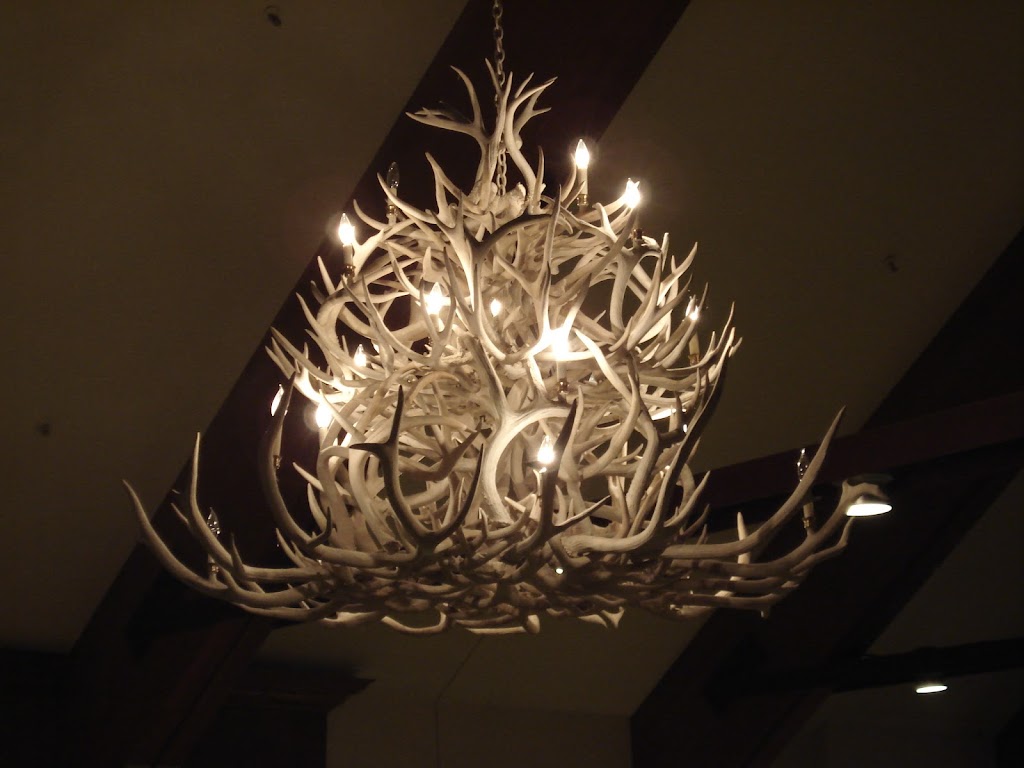 Chilis Grill & Bar | meal takeaway | 7225 W Cermak Rd, North Riverside, IL 60546, USA | 7082210051 OR +1 708-221-0051