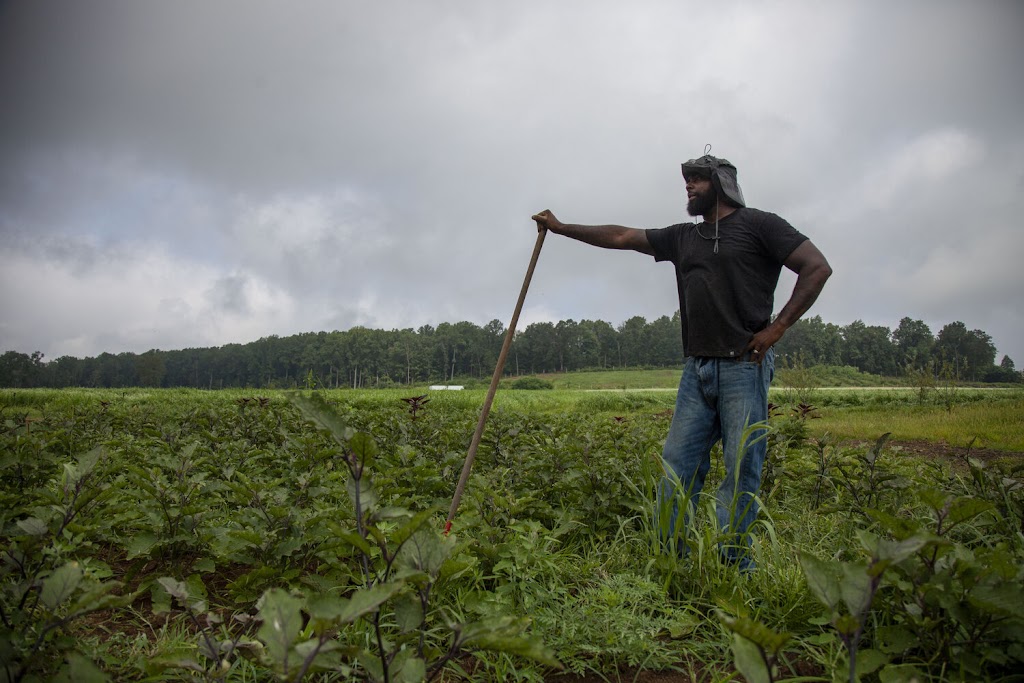 Ironbound Farm | restaurant | 360 Co Rd 579, Asbury, NJ 08802, USA | 9089404115 OR +1 908-940-4115