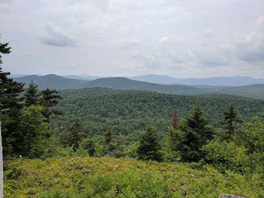 Oak Mountain | restaurant | 141 Novosel Way, Speculator, NY 12164, USA | 5185483606 OR +1 518-548-3606