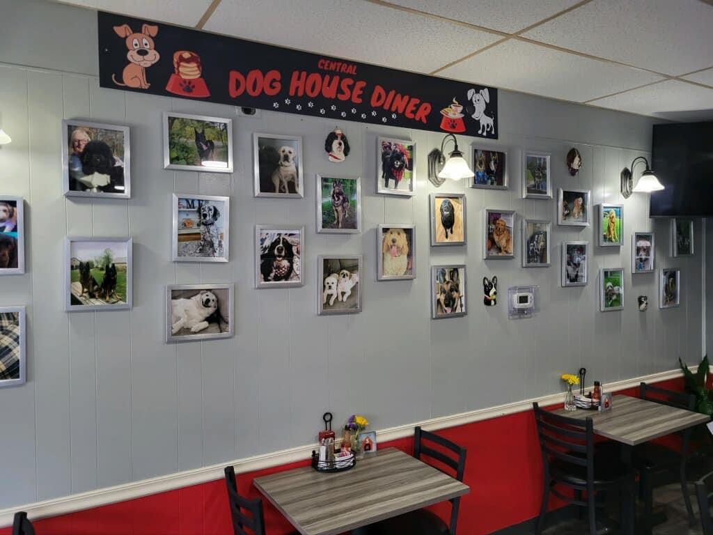 Dog House Diner | restaurant | 3434 W Anthem Way Suite 146, Anthem, AZ 85086, United States | 6235513259 OR +1 623-551-3259