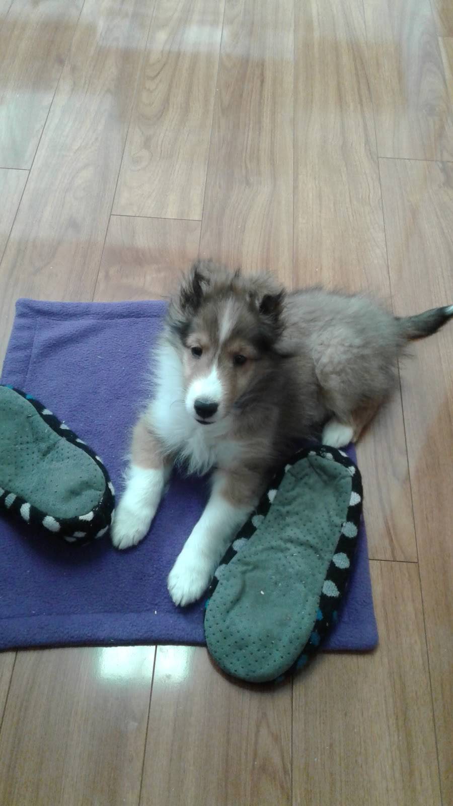 Country Hearth Family Restaurant | restaurant | 9952 Glendon Dr, Komoka, ON N0L 1R0, Canada | 5196577605 OR +1 519-657-7605