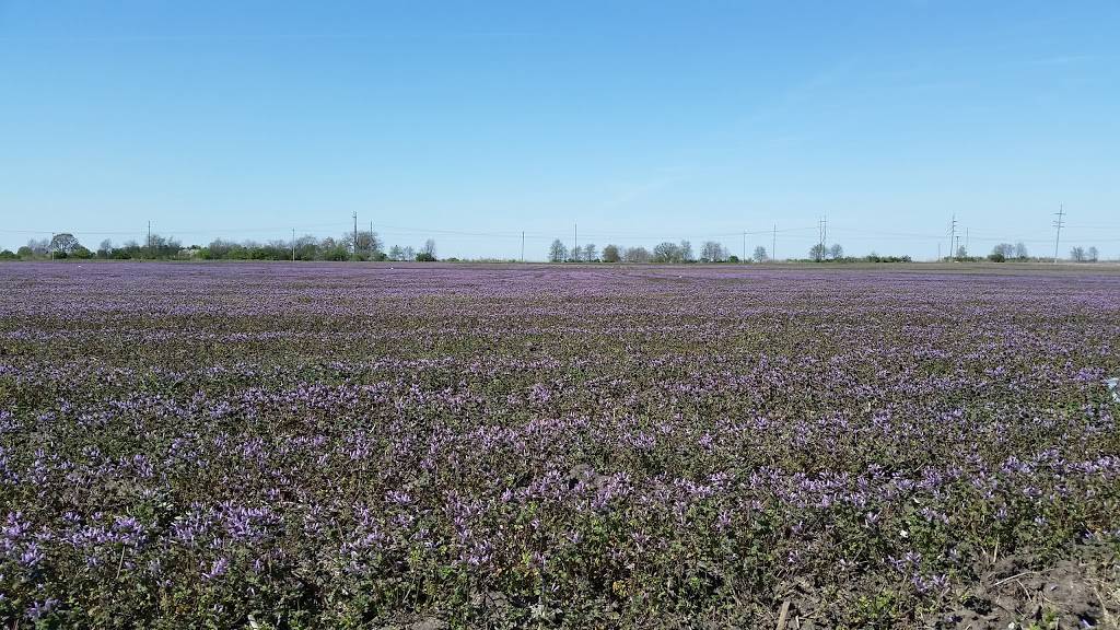 Subway | restaurant | 1101 Broadway Ave, Mattoon, IL 61938, USA | 2172586303 OR +1 217-258-6303