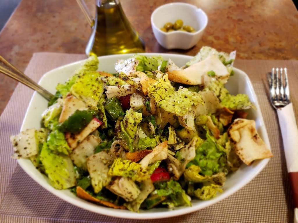 Shishka Lebanese Grill | restaurant | 1901 N Federal Hwy #109, Pompano Beach, FL 33062, USA | 9549432999 OR +1 954-943-2999