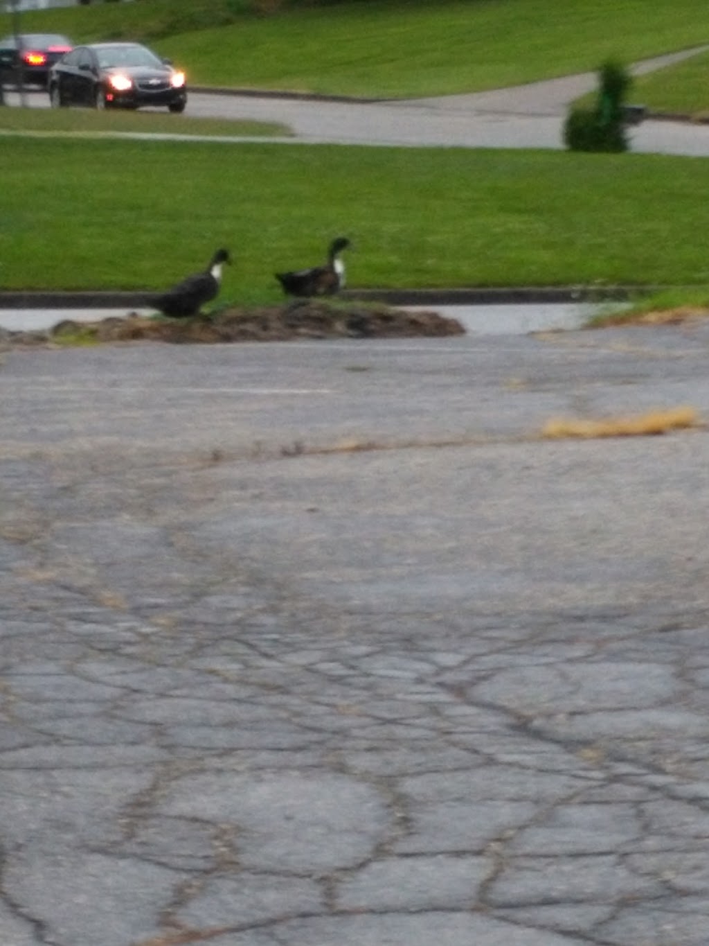 Legendary Lanes | restaurant | 104 E 13th St, Huntingburg, IN 47542, USA | 8126849190 OR +1 812-684-9190