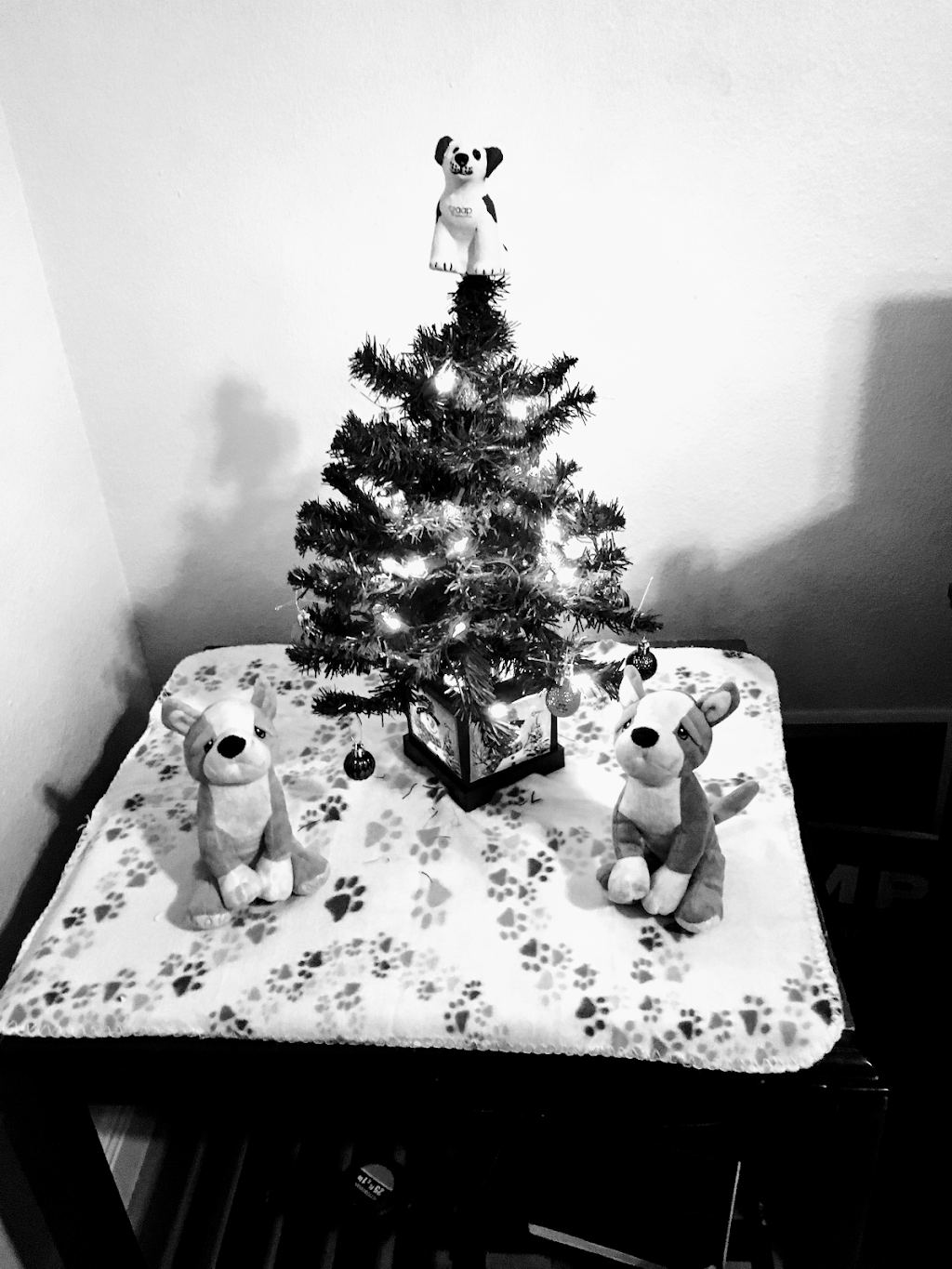 Beignets & More | restaurant | W Judge Perez Dr Suite C, Chalmette, LA 70043, USA | 5044599233 OR +1 504-459-9233