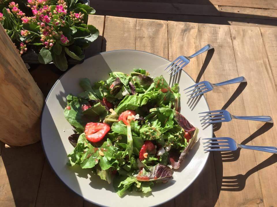 Gibs Restaurante | restaurant | Boulevard Lazaro Cardenas S/N, Local 14-15, Acapulco, 22890 Ensenada, B.C., Mexico | 016461616771 OR +52 646 161 6771