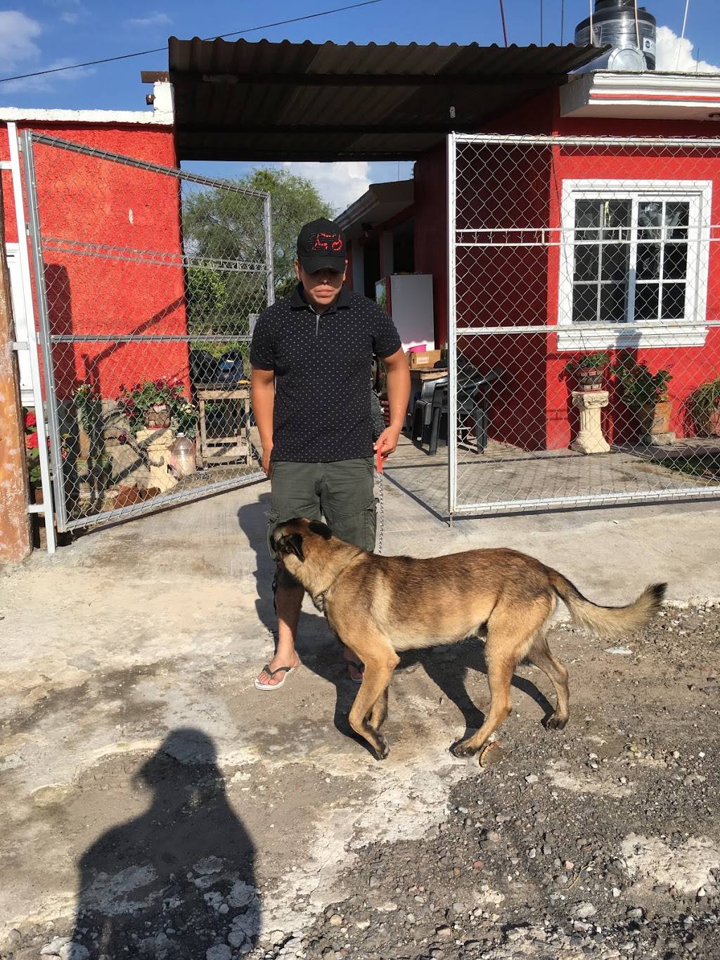 La Chilanguita (Taco Truck) | restaurant | 4167, 4179 Moorpark Ave, San Jose, CA 95117, USA | 4087243168 OR +1 408-724-3168