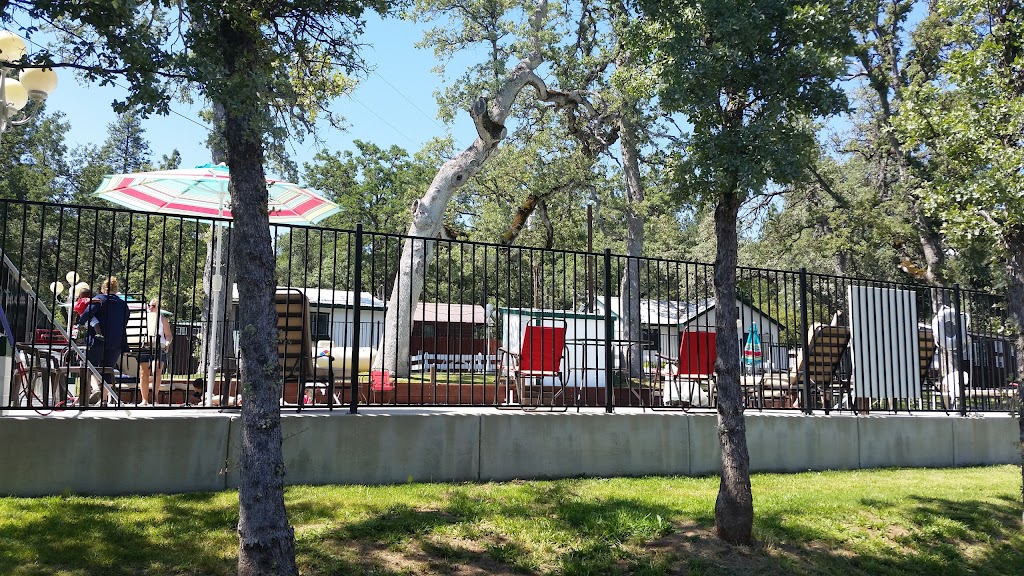 Yosemite Ridge Resort | restaurant | 7589 CA-120, Groveland, CA 95321, USA | 2098880248 OR +1 209-888-0248