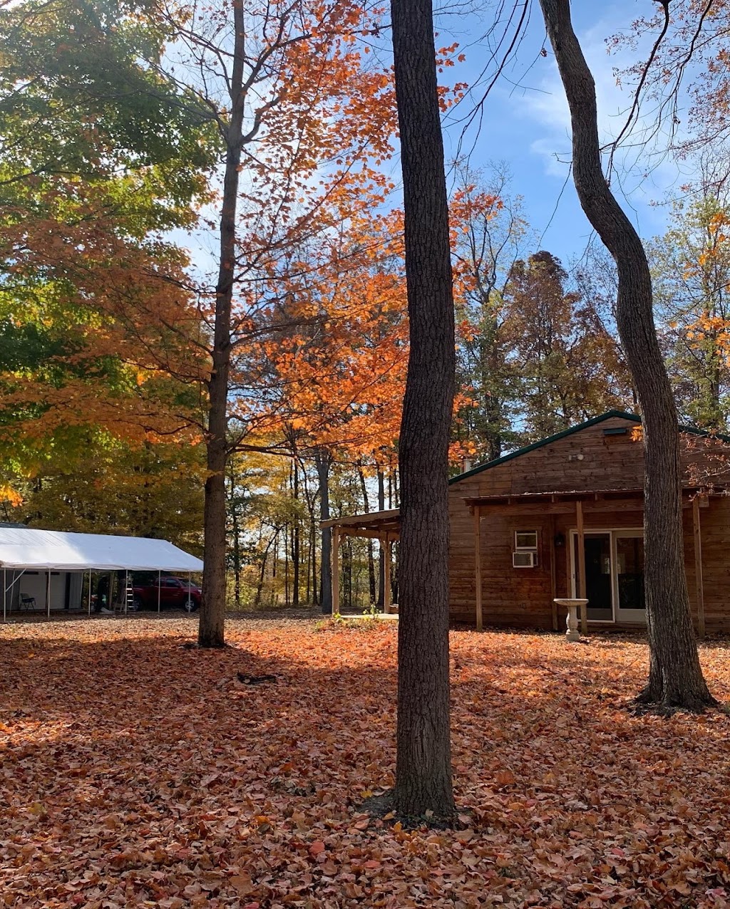 El Cajon de Arauca Agritainment Ranch | restaurant | 7642 W County Rd 350 S, Shirley, IN 47384, USA | 4074852346 OR +1 407-485-2346