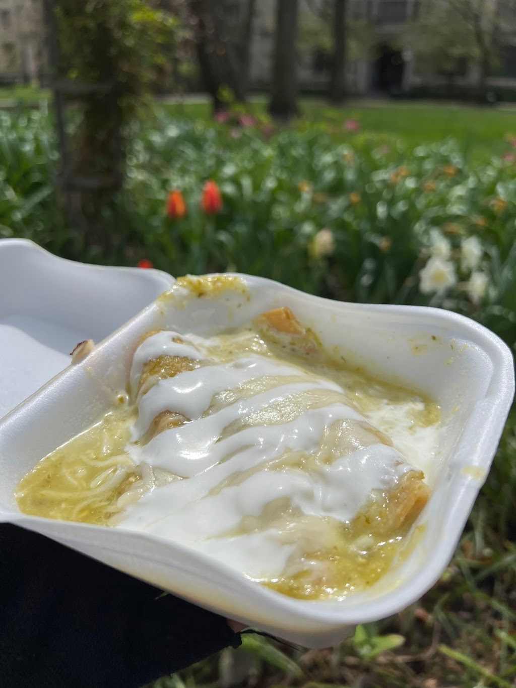 Flash Hernandez Tacos | restaurant | 5800 S Ellis Ave, Chicago, IL 60637, USA | 7739395731 OR +1 773-939-5731