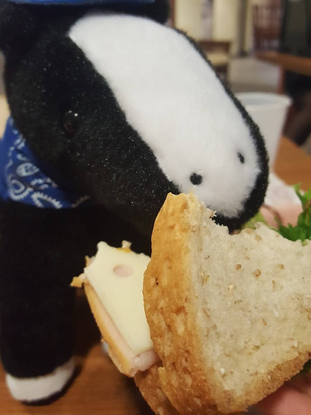 Crossroads Restaurant | restaurant | 900 Asp Ave, Norman, OK 73069, USA | 4053256830 OR +1 405-325-6830