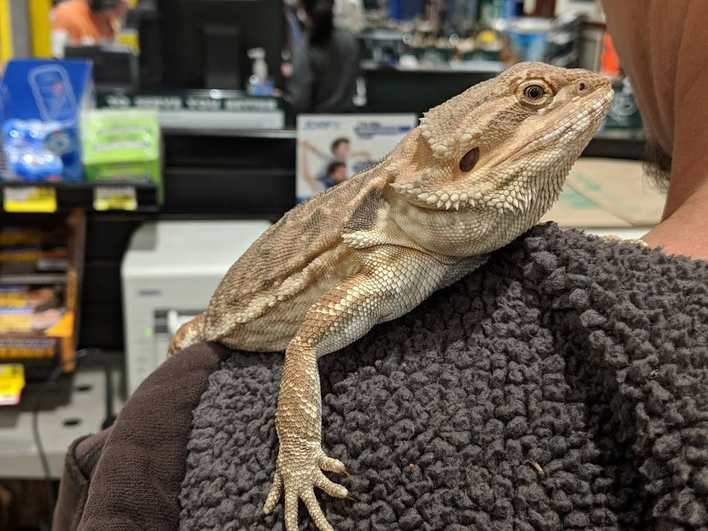 Brueggers Bagels | bakery | 760 W Williams St, Apex, NC 27502, USA | 9193677720 OR +1 919-367-7720