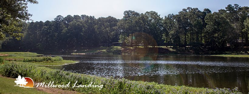 Millwood Landing Golf Resort | restaurant | 596 Hwy 317, Ashdown, AR 71822, USA | 8708986674 OR +1 870-898-6674