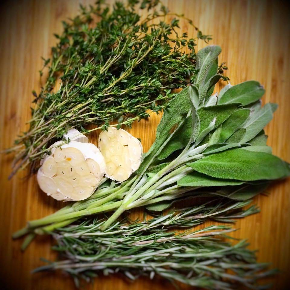 Fresh Kitchen | cafe | 2204 NJ-35, Sea Girt, NJ 08750, USA | 7327698133 OR +1 732-769-8133