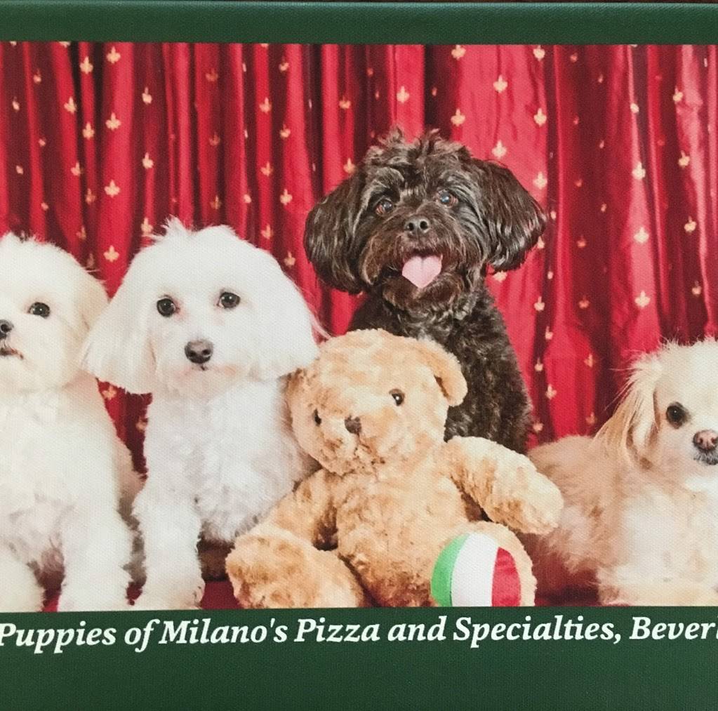 Milanos Pizza | restaurant | 10945 S Western Ave, Chicago, IL 60643, USA | 7734454010 OR +1 773-445-4010