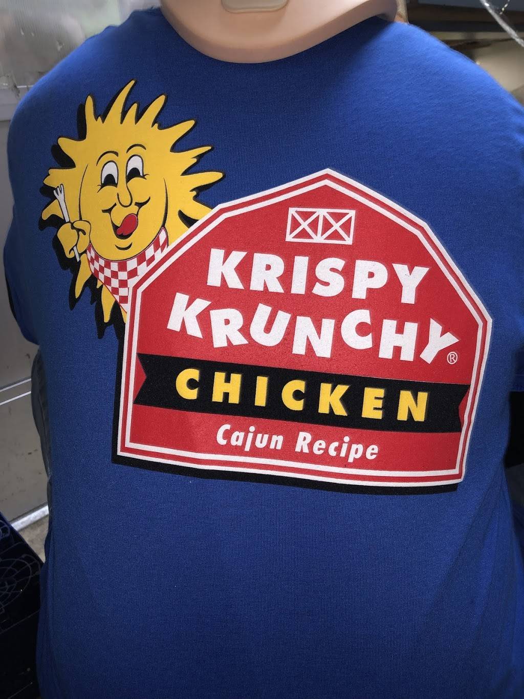 Krispy krunchy | restaurant | Detroit, MI 48219, USA | 3132466900 OR +1 313-246-6900