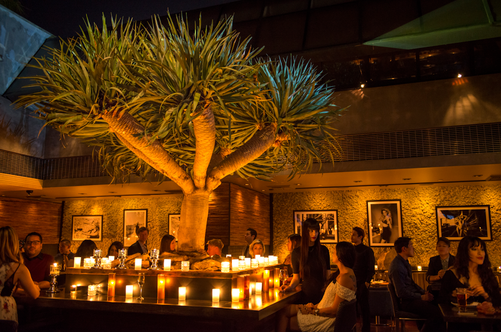 Mesa | night club | 725 Baker St, Costa Mesa, CA 92626, USA | 7145576700 OR +1 714-557-6700