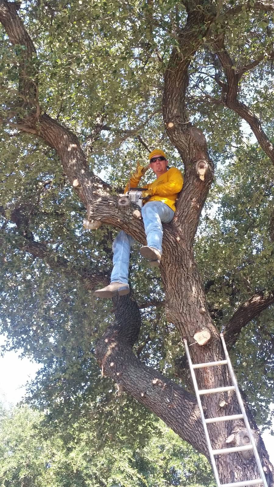 Mam Subs LLC | restaurant | 2903 Berry Down # 13104, Arlington, TX 76010, USA | 8176520387 OR +1 817-652-0387