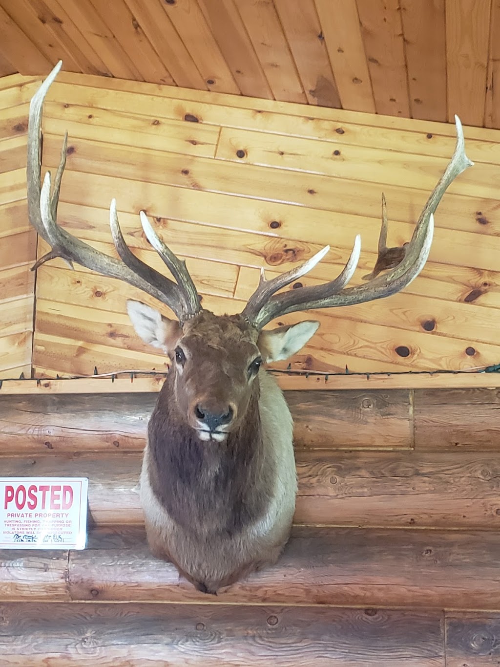 Fish Tales Bar & Grill | restaurant | 50748 State Hwy 46, Squaw Lake, MN 56681, USA | 2186594488 OR +1 218-659-4488