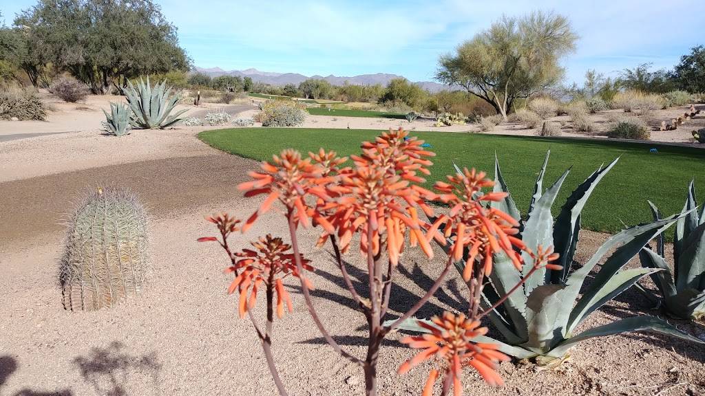 Tonto Verde Golf Club | restaurant | 18401 El Circulo Dr, Rio Verde, AZ 85263, USA | 4804712710 OR +1 480-471-2710