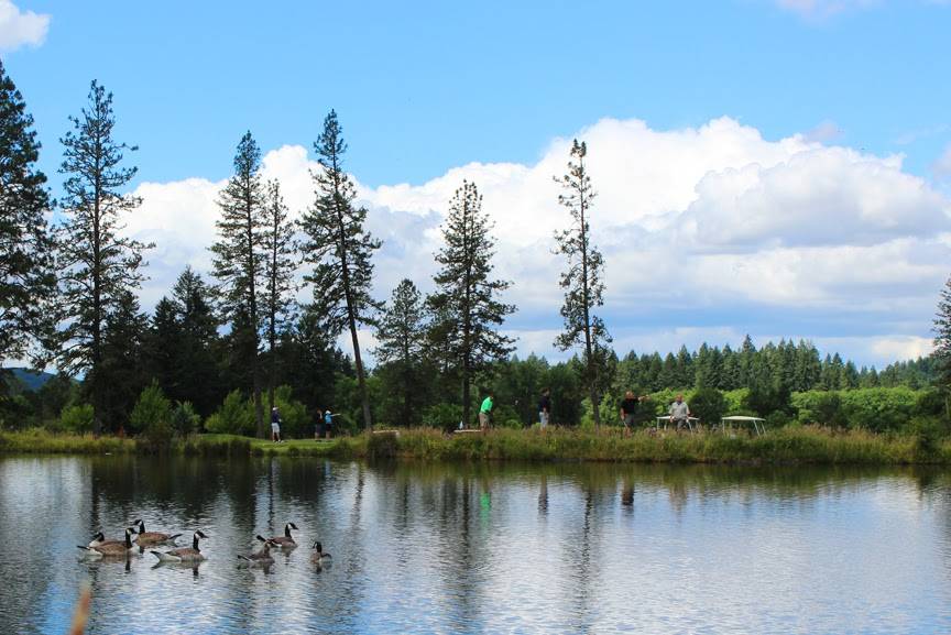 Mallard Creek RV Resort | restaurant | 31958 Bellinger Scale Rd, Lebanon, OR 97355, USA | 5412594653 OR +1 541-259-4653